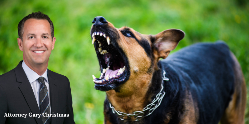 South Carolina Dog Bite Lawyer 