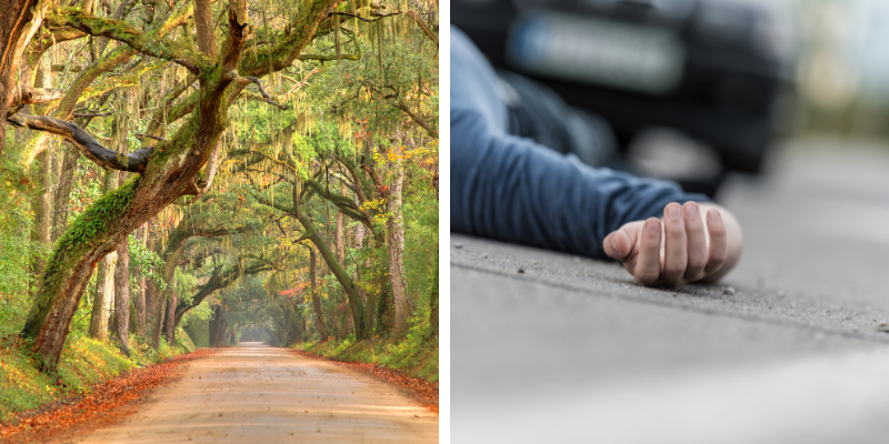 Image depicting a serene road surrounded by trees alongside a close-up of a hand on